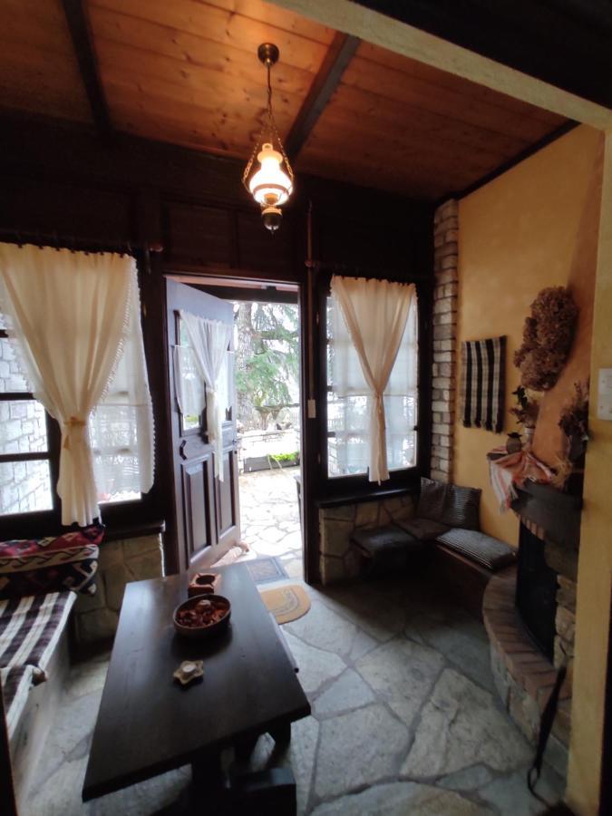 Xenonas Brizi Hotel Elati  Exterior photo