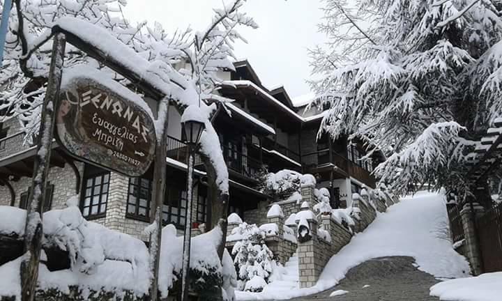 Xenonas Brizi Hotel Elati  Exterior photo